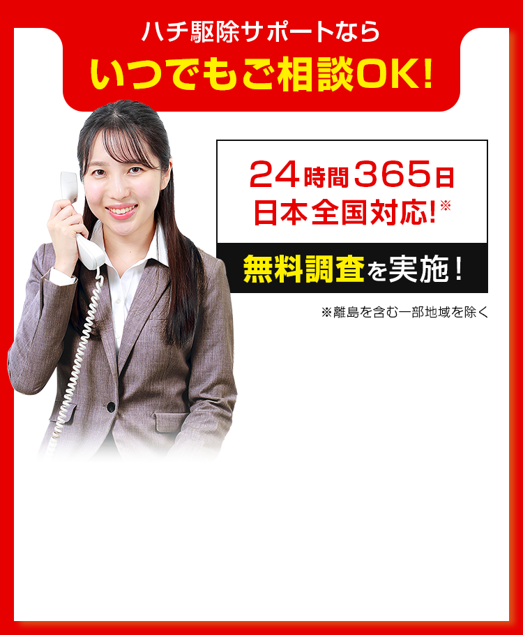 ハチ駆除サポートならいつでもご相談OK!
