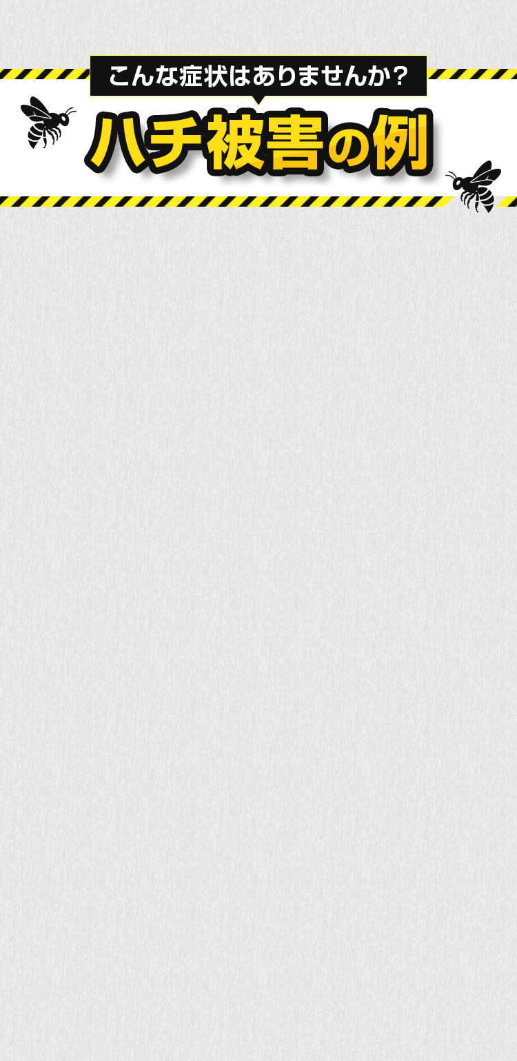 こんな症状はありませんか？ハチ被害の例