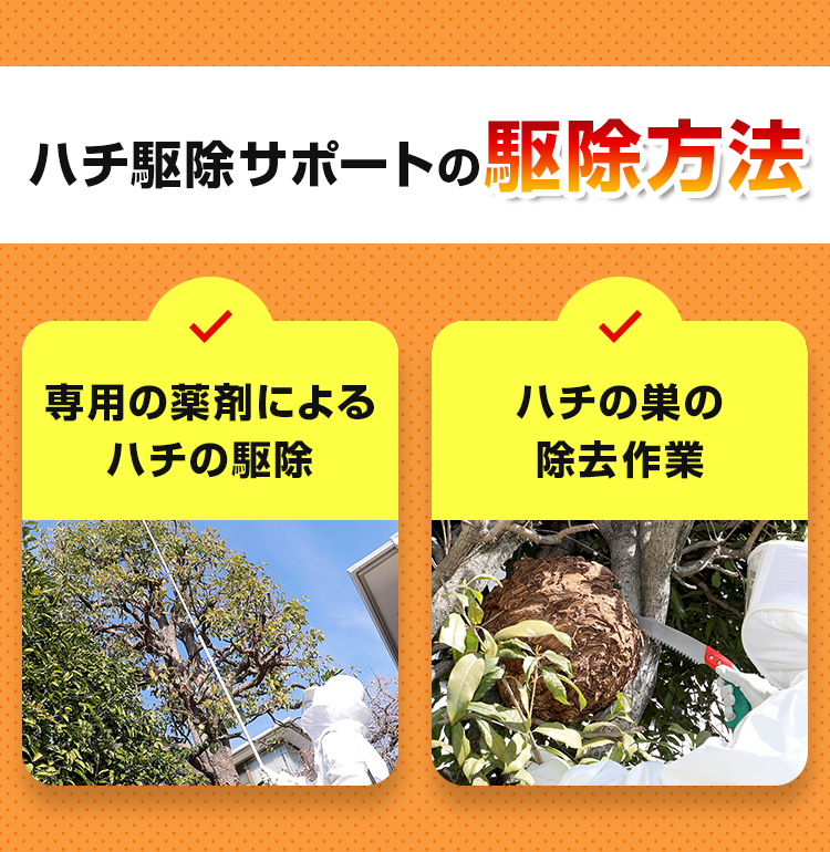 ハチ駆除サポートの駆除方法