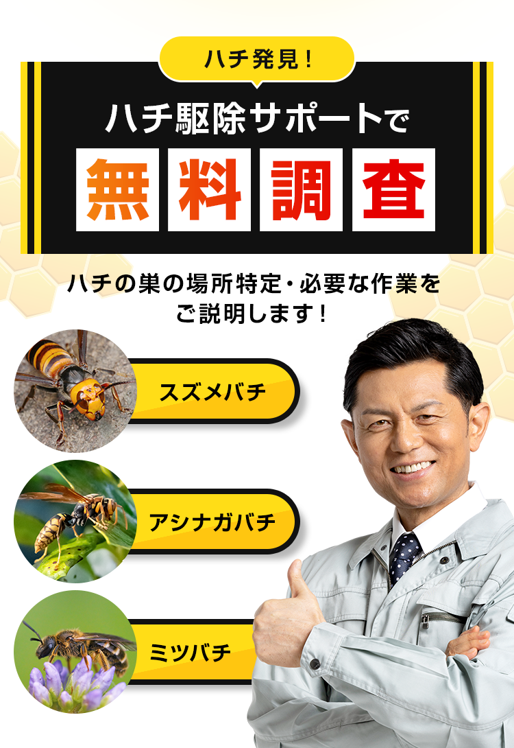 ハチの巣の場所特定・必要な作業をご説明します！