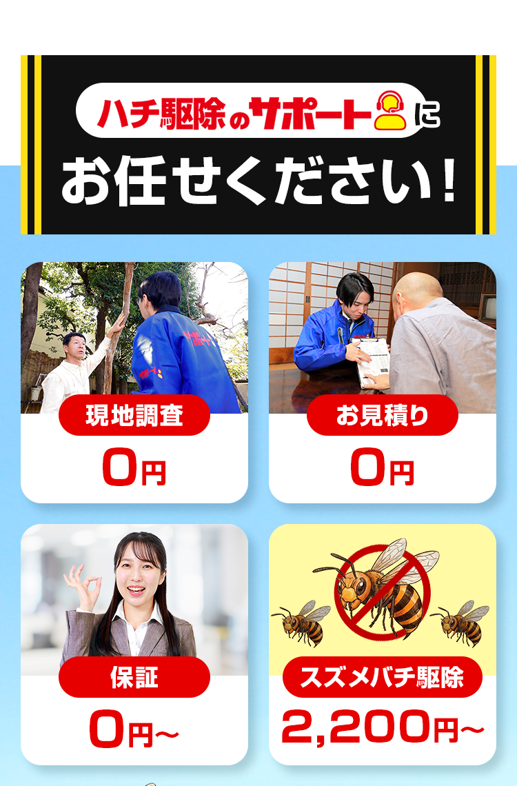 ハチ駆除サポートにお任せください！