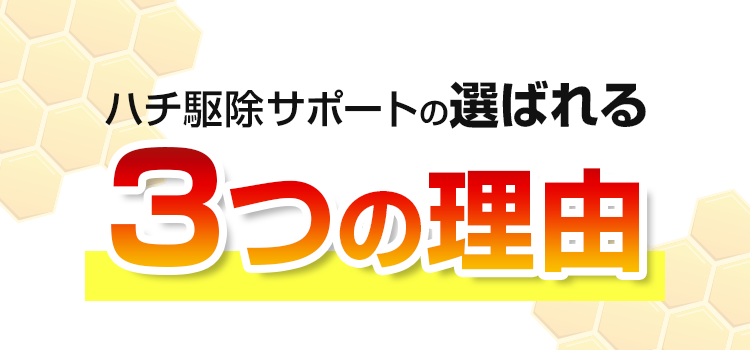 こんな症状はありませんか？ハチ被害の例