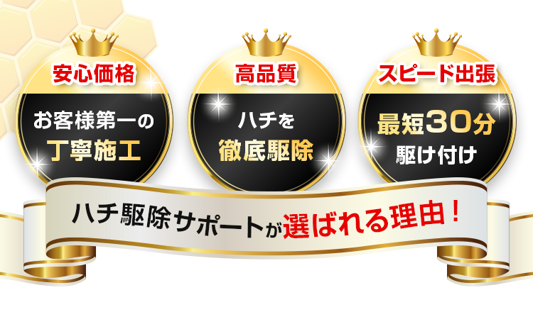 ハチ駆除サポートが選ばれる理由！